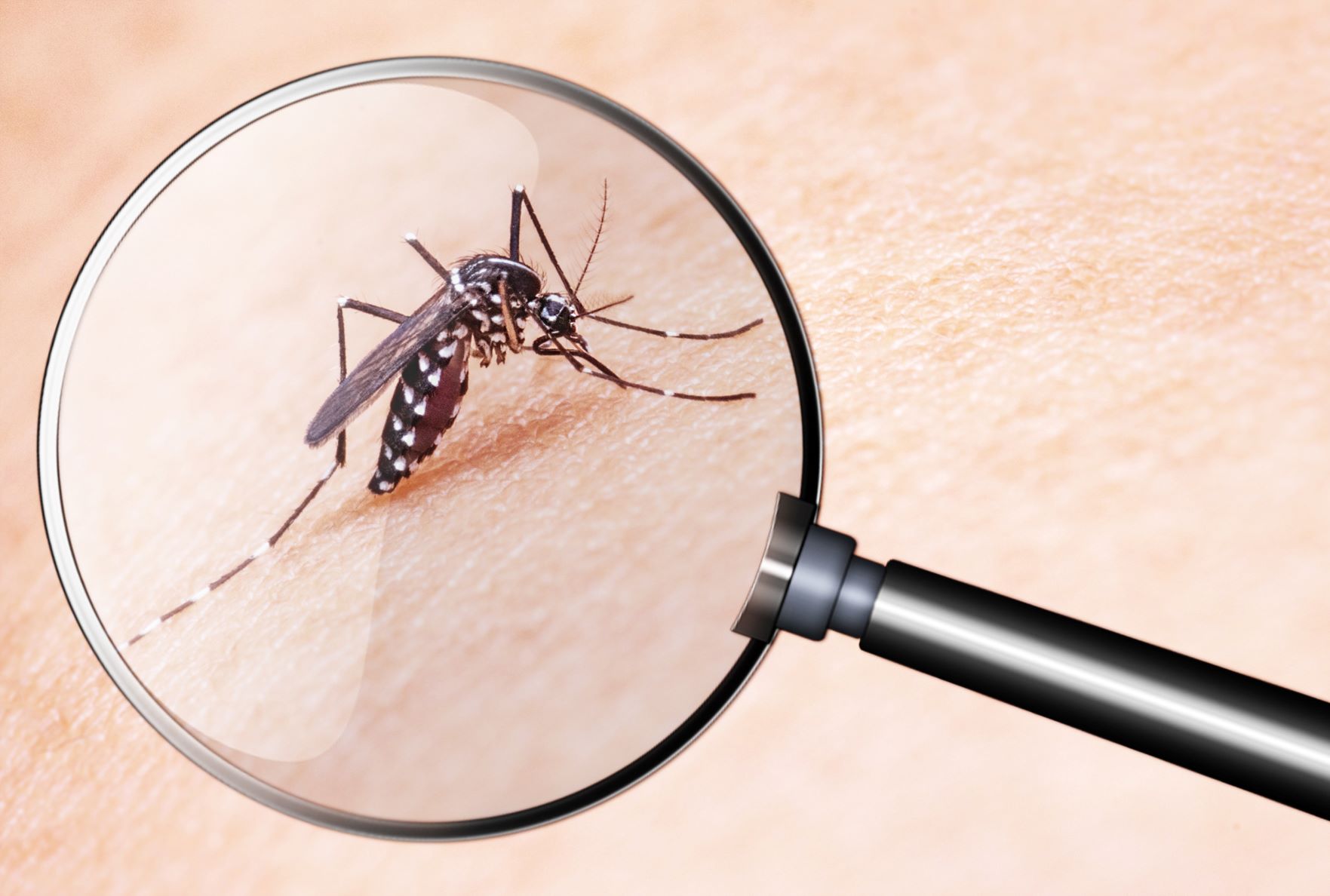 naturalna ochrona przed komarami - spray na komary DIY