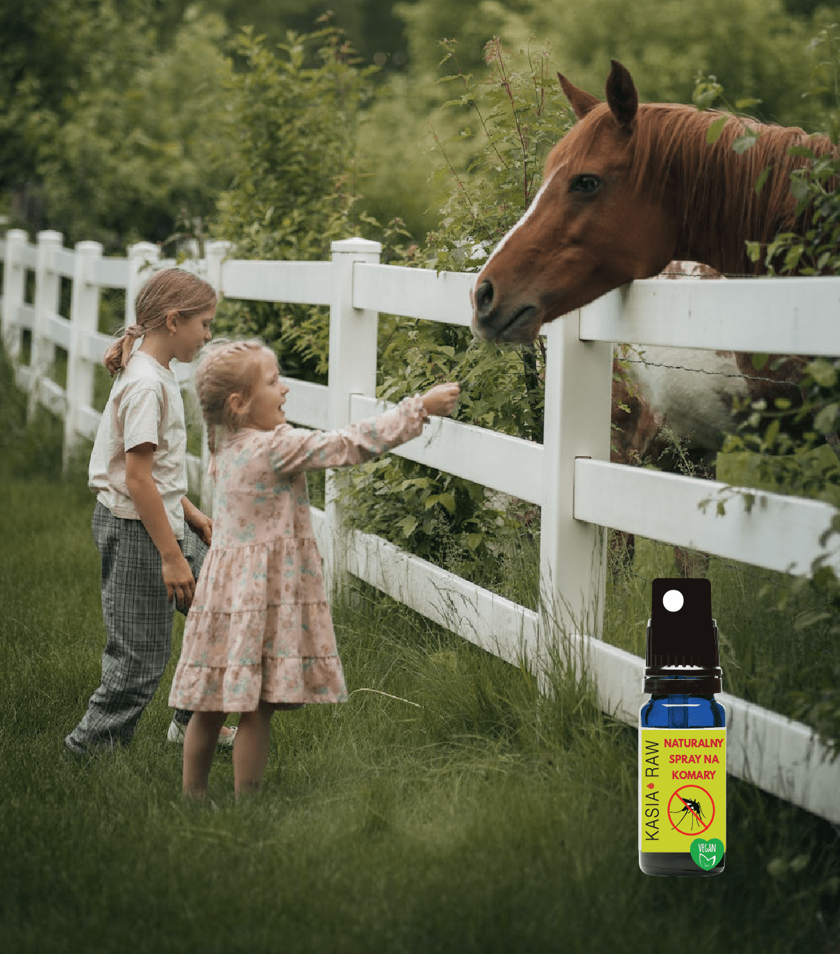 NATURALNY SPRAY NA KOMARY I KLESZCZE - obrazek 5